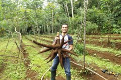 Photo-14