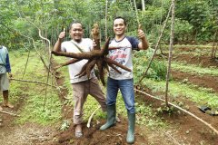 Photo-15