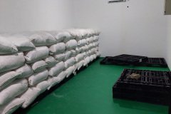 Photo-16